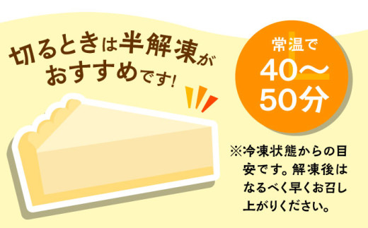 みっちゃんの手作りチーズケーキ ホール2個 ベイクドチーズケーキ 専門店 横須賀【横須賀商工会議所 おもてなしギフト事務局（みっちゃんの手作りチーズケーキ）】 [AKBH002]