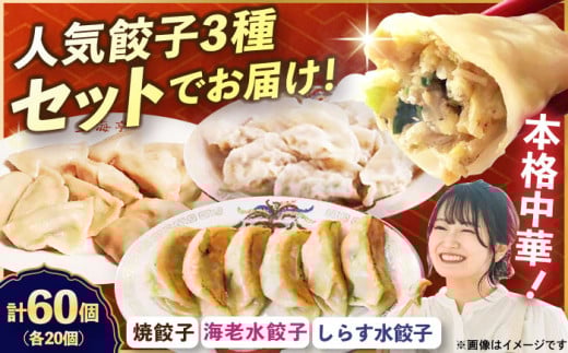【テレビで紹介されました！】冷凍 海老水餃子 しらす水餃子 焼餃子 3種 セット 計60個【横須賀商工会議所 おもてなしギフト事務局（上海亭）】 [AKED009]