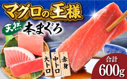 天然 本まぐろ 大トロ・中トロ・赤身（約200ｇ×3柵）約600ｇ 鮪 マグロ 魚 刺身 横須賀【横須賀商工会議所 おもてなしギフト事務局（本まぐろ直売所 横須賀本店）】 [AKAK018]
