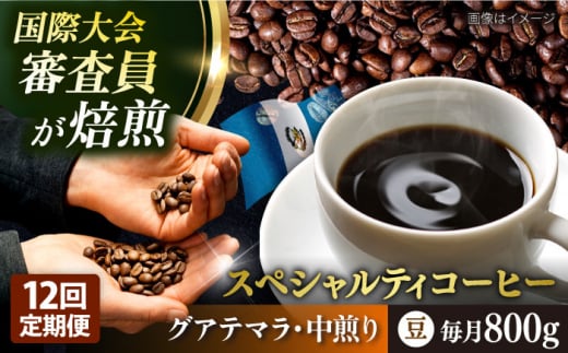 【全12回定期便】コーヒー豆 自家焙煎 中煎り グアテマラ 200g×4 TSUKIKOYA COFFEE ROASTER ツキコヤ 珈琲 こだわり 横須賀【株式会社RUINS】 [AKAD015]