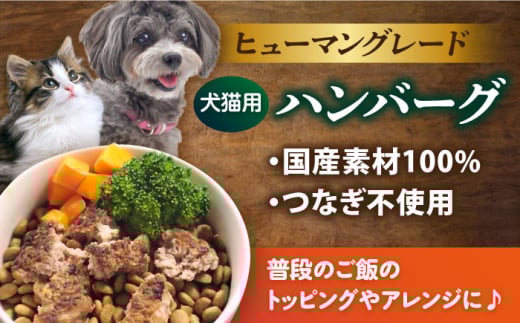 ペットフード 鶏むね 100%ハンバーグ 10個セット ペット 犬 猫 手作り 国産 てづくり こだわり ドッグフード  横須賀 【ペットフードYM japan】 [AKEX006]