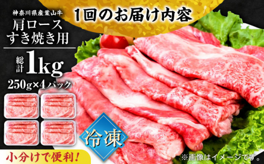 【全6回定期便】葉山牛肩ロースすき焼き用 250g×4パック 小分け 牛肉 すきやき 冷凍  計1.0kg とろける 国産牛 贅沢 牛肉 切り落とし うす切り 高級和牛 1キロ 冷凍 黒毛和牛 国産 和牛 肩ロース 赤身 希少品種 小分け すき焼き すきやき しゃぶしゃぶ ぎゅうにく きりおとし たっぷり 大容量 横須賀 お取り寄せ【株式会社羽根】 [AKAG040]