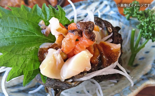三浦半島 サザエ 中サイズ 約1kg 6〜10個  さざえ 産地直送 貝 冷蔵 【長井水産株式会社】 [AKAJ004]