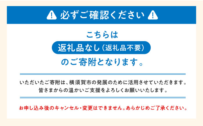 【応援寄附金】神奈川県横須賀市 返礼品なしのご寄附（300,000円）【横須賀市】 [AKZZ036]