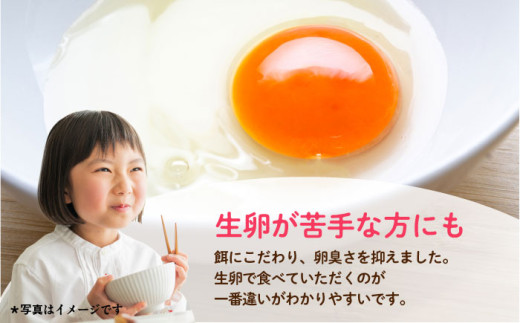 飼い方にこだわり餌にこだわった「姫様のたまご」 20個 卵 たまご 【横須賀商工会議所　おもてなしギフト事務局（岩沢ポートリー）】 [AKET007]