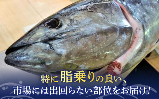 【全6回定期便】まぐろ おまかせバーベキューセット 冷凍約2kg 鮪 マグロ BBQ 魚 横須賀【横須賀商工会議所 おもてなしギフト事務局（本まぐろ直売所 横須賀本店）】 [AKAK030]