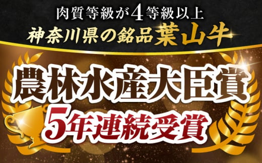 葉山牛 切り落とし300g×2パック 計600g 小分け 牛肉 切り落とし 和牛 きりおとし 横須賀 冷凍  【株式会社羽根】 [AKAG001]