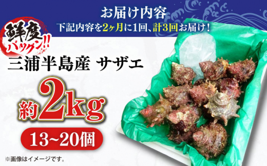 【全3回 隔月 定期便】サザエ 2kg 13～20個 三浦半島 さざえ バーベキュー BBQ 貝 直送 つぼ焼き 新鮮 獲れたて 魚貝類 魚介類 魚介 海鮮 海の幸 名産品 特産品 定期【長井水産株式会社】 [AKAJ014]