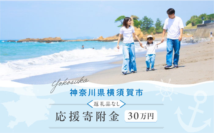 【応援寄附金】神奈川県横須賀市 返礼品なしのご寄附（300,000円）【横須賀市】 [AKZZ036]