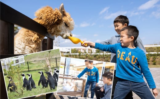 ソレイユの丘 回数券 400円分×12枚 神奈川 横須賀 観光 施設 レジャー ソレイユ ソレイユの丘 日比谷花壇 【株式会社日比谷花壇】 [AKBO001]