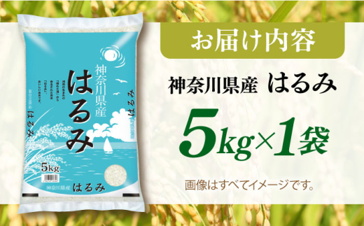 【数量限定100セット】令和7年産 お米 はるみ 5kg 米 お米 こめ おこめ コメ さっぱり 粘り うま味 精米 はるみ 神奈川県 神奈川 特Ａ ランキング  【株式会社ヨコショク】 [AKGC001]