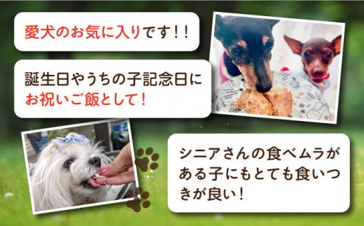 【全6回定期便】ペットフード 鶏むね 100%ハンバーグ 10個セット ペット 犬 猫 手作り 国産 てづくり こだわり ドッグフード  横須賀 【ペットフードYM japan】 [AKEX008]