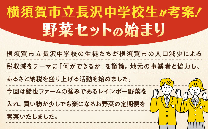 【先行予約】【全2回定期便】夏の汎用野菜セット（5〜6品目）夏（7月〜8月）【鈴也ファーム】 [AKCE028]
