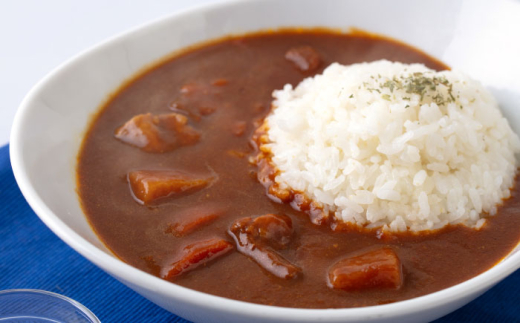 F・マリノスKURIHAMAカレー 220ｇ×10個セット マリノス カレー 横須賀 久里浜 レトルト  保存食【久里浜商店会協同組合】 [AKCA002]