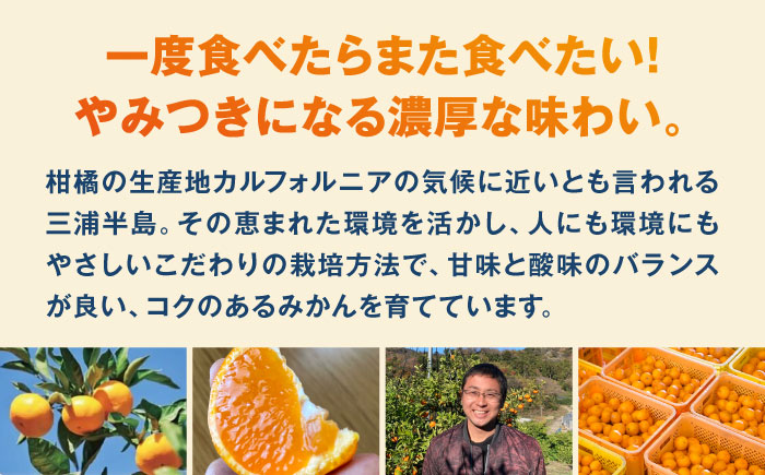 【年内発送の受付は12月22日まで！】温州みかん LLサイズ 約10kg 津久井浜みかん 蜜柑 ミカン 果物 柑橘 フルーツ 横須賀 年内発送【志村農園】 [AKGH004-3]