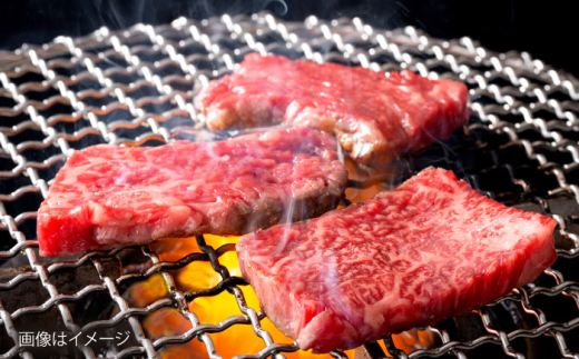 【冷蔵発送でお届け】 葉山牛 焼肉用切り落としセット 約500g 【JAよこすか葉山】 [AKFO011]