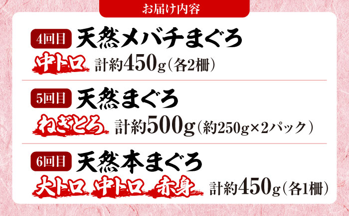 【全6回定期便】まぐろ 豪華 食べ比べ 定期便 【横須賀商工会議所 おもてなしギフト事務局（本まぐろ直売所 横須賀本店）】 [AKAK123]