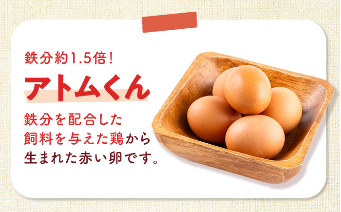 【全3回定期便】安田養鶏場の卵 アトムくん 30個入り 横須賀市 産地直送 割れ保証付き たまご 黄身 濃厚 卵 玉子 タマゴ 鶏卵  【安田養鶏場】 [AKHN009]