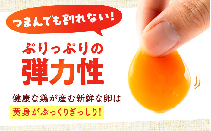 【全3回定期便】安田養鶏場の卵 アトムくん 30個入り 横須賀市 産地直送 割れ保証付き たまご 黄身 濃厚 卵 玉子 タマゴ 鶏卵  【安田養鶏場】 [AKHN009]