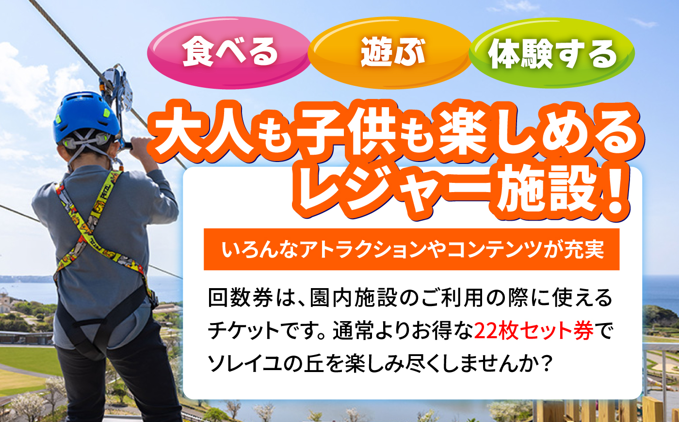ソレイユの丘 回数券 400円分×22枚 神奈川 横須賀 観光 施設 レジャー ソレイユ ソレイユの丘 日比谷花壇 【株式会社日比谷花壇】 [AKBO002]