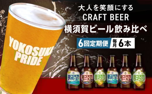 【全6回定期便】飲み比べ ビール 3種　6本セット （330ml瓶×計36本）クラフトビール 【有限会社たのし屋本舗】 [AKAE051]
