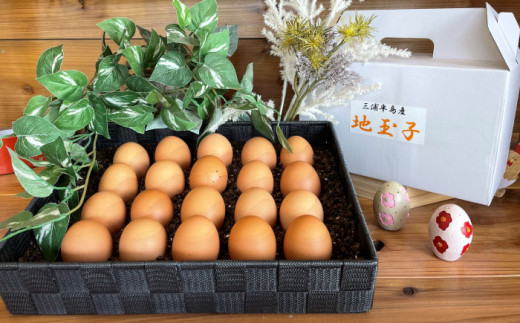餌にこだわった三浦半島産赤たまご 20個 卵 たまご 【横須賀商工会議所　おもてなしギフト事務局（岩沢ポートリー）】 [AKET003]