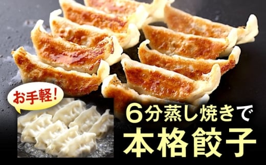 訳あり 本格餃子 50個セット 訳あり 本格 餃子  ぎょうざ 国産 ギョーザ 野菜 わけあり ワケアリ 冷凍餃子 ぎょうざ ジューシー 中華 セット 詰め合わせ 国産野菜 大容量 たっぷり 惣菜 横須賀  【株式会社オウモリ食品】 [AKHQ001]