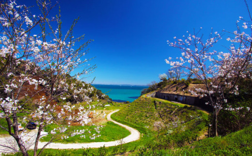 オリジナル トートバッグ ユートピア（ファーマシーガーデン浦賀） Mサイズ 横須賀【ファーマシーガーデン浦賀】 [AKBG004]