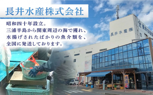 【全3回 隔月 定期便】かながわブランド「三崎黒潮キンメ」鯛の特大干物 2枚入 約1400g セット 神奈川 三浦 三崎 魚 金目 干物 特大サイズ キンメの開き おつまみ 三浦半島 計約1.4kg 2枚 3回 隔月 【長井水産株式会社】 [AKAJ008]