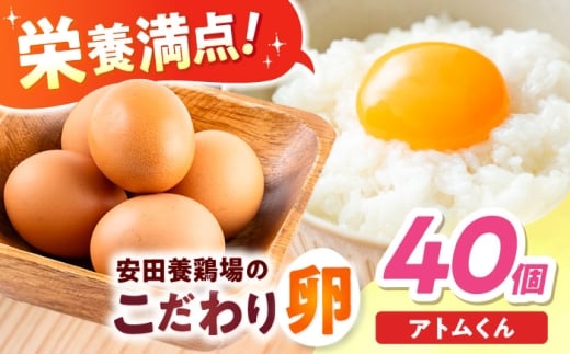 【年内発送の受付は12月18日まで！】安田養鶏場の卵 アトムくん 40個入り 横須賀市 産地直送 割れ保証付き たまご 黄身 濃厚 卵 玉子 タマゴ 鶏卵  【安田養鶏場】 [AKHN003]