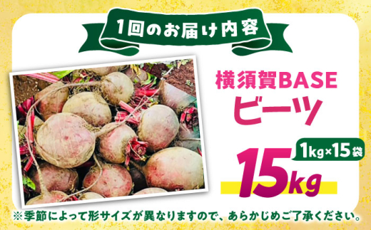 【全6回定期便】横須賀BASEビーツ 15kg（1kg×15袋）【ゆり子ファーム】 [AKCR015]