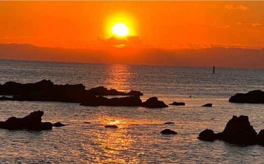 ショートチャータークルージング ペアチケット クルージング 観光 体験 横須賀 神奈川県【株式会社ユニマットプレシャス】 [AKBZ003]