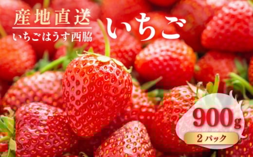 【先行予約】　【数量限定100セット】　いちご　2パック 約900g　【いちごはうす西脇】 [AKHO002]