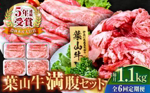 【全6回定期便】葉山牛満腹セット（肩ロースすき焼用250g×2＋切落し300g×2） 国産牛 牛肉 切り落とし 肩ロース 贅沢 セット たっぷり 大容量 1キロ超え 高級和牛 冷凍 黒毛和牛 国産 希少品種 小分け 横須賀 すき焼き すきやき 肉じゃが カレー 料理 ぎゅうにく きりおとし【株式会社羽根】 [AKAG043]