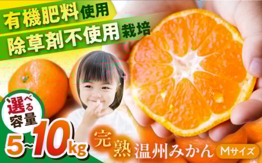 【選べる容量！】温州みかん Mサイズ 津久井浜みかん 蜜柑 ミカン 果物 柑橘 フルーツ 横須賀【志村農園】 [AKGH002]