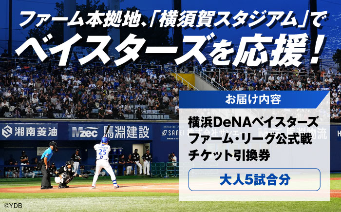 横浜DeNAベイスターズ ファーム・リーグ公式戦チケット 引換券 大人5試合分【株式会社横浜DeNAベイスターズ】 [AKIF005]