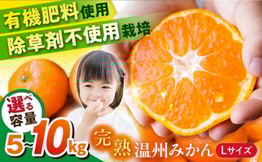 【選べる容量！】温州みかん Lサイズ 津久井浜みかん 蜜柑 ミカン 果物 柑橘 フルーツ 横須賀【志村農園】 [AKGH003]