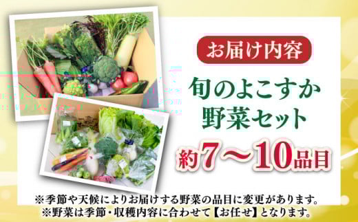 よこすか野菜セット すかなボックス 野菜 お野菜 季節野菜 やさい 詰め合わせ 詰合せ セット お楽しみ 産地直送 旬 厳選 すかなごっそ 農産物 神奈川県 横須賀市【JAよこすか葉山】 [AKFO001]