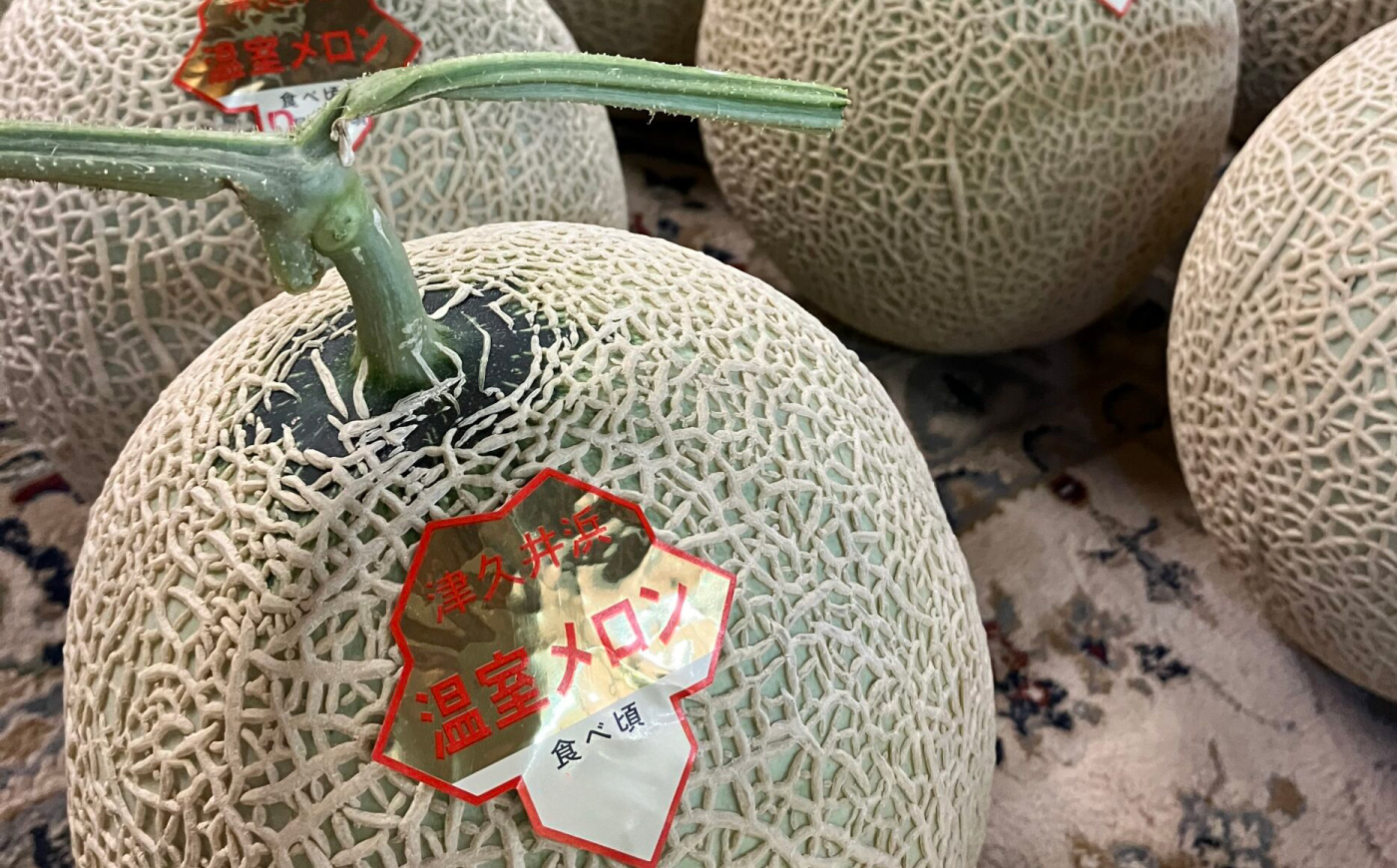 【数量限定30セット】神奈川県産 津久井浜 温室メロン アールスメロン 大玉 糖度16度前後 約2.0kg以上 1玉【小林マルモ農園】 [AKJG001]