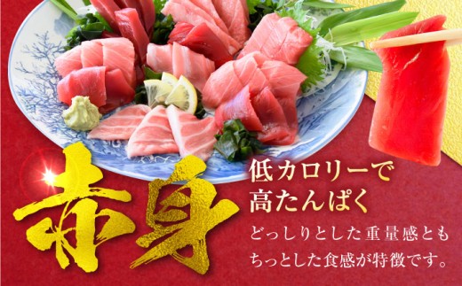 天然 まぐろ 中トロ＆赤身 各1柵（計約450g）【横須賀商工会議所 おもてなしギフト事務局（本まぐろ直売所 横須賀本店）】 [AKAK115]