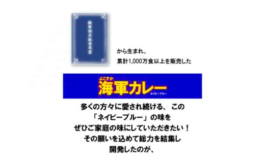 よこすか海軍カレー ネイビーブルーカレーフレーク 125g×53袋 カレー 海上自衛隊カレー 海軍カレー 軍艦 横須賀 自衛隊 神奈川 レトルト 非常食 保存食  【横須賀商工会議所 おもてなしギフト事務局（株式会社調味商事）】 [AKAQ014]