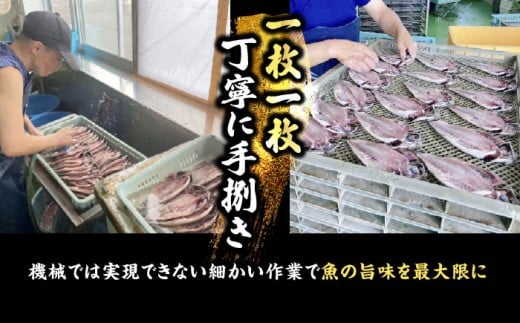 【全3回定期便】【訳あり】漁師町 佐島 真アジの開き 約2.8kg（40枚前後）セット 干物 横須賀  国産 魚 大人気 定期 冷凍 【石川水産株式会社】 [AKCX006]