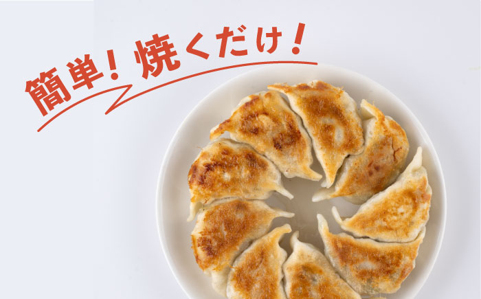 餃子 50個入り　【有限会社横須賀松坂屋】 [AKCY016]