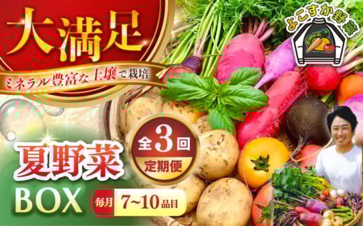 【先行予約】【全3回定期便】すずなり採れたて野菜BOX　(7～10品)  夏（5月～7月） 野菜  やさい 詰め合わせ 詰合せ 【鈴也ファーム】 [AKCE007]