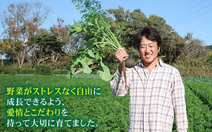 【全12回定期便】すずなり採れたて野菜BOX（5〜7品目）野菜セット 詰め合わせ 季節野菜 やさい 産地直送 旬 新鮮 横須賀【鈴也ファーム】 [AKCE004]