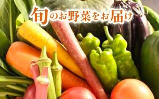 横須賀産野菜セット 10種 詰め合わせ　野菜 セット 詰め合わせ 横須賀 横須賀野菜 キャベツ 玉ねぎ ブロッコリー なす にんじん きゅうり さつまいも 里芋 ゴーヤ 大根 ほうれん草【横須賀商工会議所 おもてなしギフト事務局（三浦半島直売所）】 [AKES003]