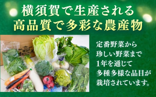 よこすか野菜セット すかなボックス 野菜 お野菜 季節野菜 やさい 詰め合わせ 詰合せ セット お楽しみ 産地直送 旬 厳選 すかなごっそ 農産物 神奈川県 横須賀市【JAよこすか葉山】 [AKFO001]