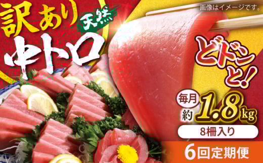 【全6回定期便】【訳あり】天然 まぐろ 中トロ メバチ 計約1.8kg (8柵入り) マグロ 定期 鮪 まぐろ 中とろ 刺身  定期便【本まぐろ直売所】 [AKAK054]