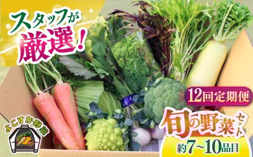 【全12回定期便】よこすか野菜セット すかなボックス 野菜 お野菜 季節野菜 やさい 詰め合わせ 詰合せ セット お楽しみ 産地直送 旬 厳選 すかなごっそ 農産物 神奈川県 横須賀市 定期 定期便【JAよこすか葉山】 [AKFO009]