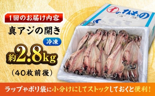 【全3回定期便】【訳あり】漁師町 佐島 真アジの開き 約2.8kg（40枚前後）セット 干物 横須賀  国産 魚 大人気 定期 冷凍 【石川水産株式会社】 [AKCX006]